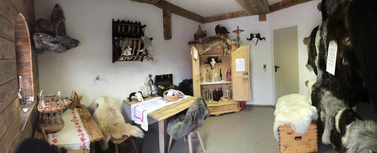 Aue, Ferienwohnung Tux Dış mekan fotoğraf